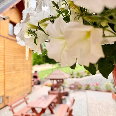 Siedlisko Złota Góra Całoroczne Na Kaszubach Chalet